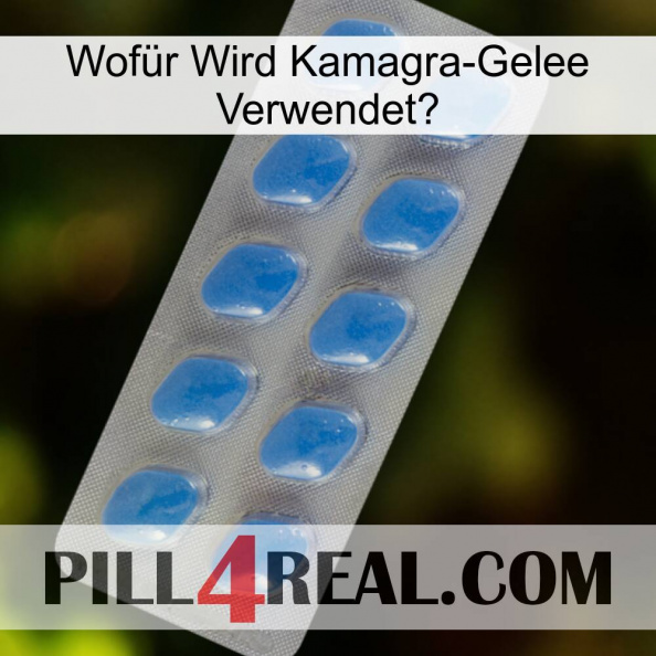 Wofür Wird Kamagra-Gelee Verwendet 22